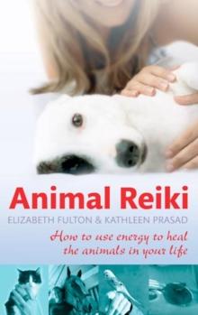 Animal Reiki : How to use energy to heal the animals in your life