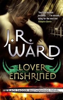 Lover Enshrined : Number 6 in series