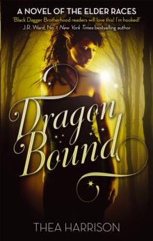 Dragon Bound : Number 1 in series