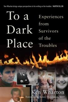 To a Dark Place : Experiences from Survivors of the Troubles