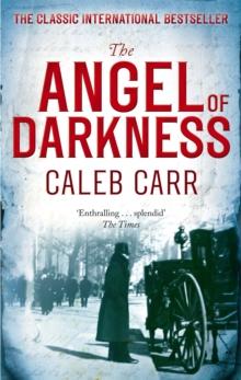 The Angel Of Darkness : Number 2 in series