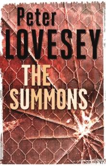 The Summons : Detective Peter Diamond Book 3