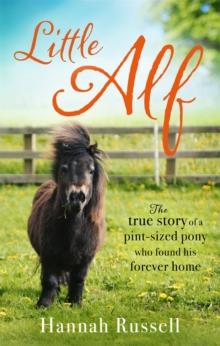 Little Alf : The true story of a pint-sized pony who found his forever home