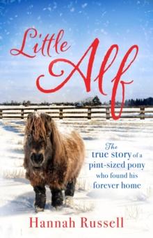 Little Alf : The true story of a pint-sized pony who found his forever home