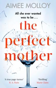 The Perfect Mother : A gripping thriller with a nail-biting twist