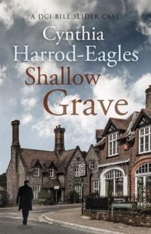 Shallow Grave : A Bill Slider Mystery (7)