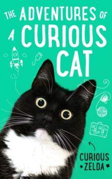 The Adventures of a Curious Cat : wit and wisdom from Curious Zelda, purrfect for cats and their humans