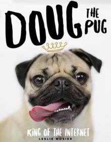 Doug The Pug : The King of the Internet