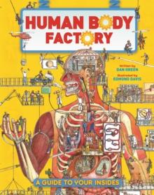 The Human Body Factory : A Guide To Your Insides