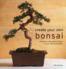 Create Your Own Bonsai