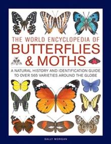 Butterflies & Moths, The World Encyclopedia of : A natural history and identification guide to over 565 varieties around the globe