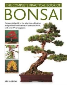 Bonsai, Complete Practical Book of : The essential guide to the selection, cultivation and presentation of miniature trees and shrubs, with over 800 photographs