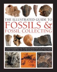 Fossils & Fossil Collecting, The Illustrated Guide to : A reference guide to over 375 plant and animal fossils from around the globe and how to identify them, with over 950 photographs and artworks