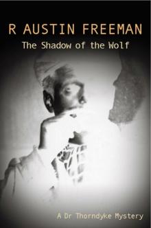 The Shadow Of The Wolf