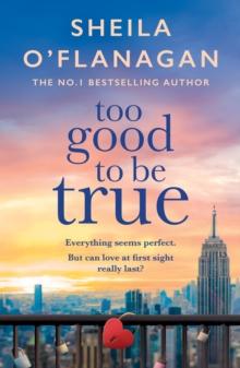 Too Good To Be True : A feel-good read of romance and adventure