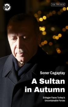 A Sultan in Autumn : Erdogan Faces Turkey's Uncontainable Forces