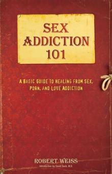 Sex Addiction 101 : A Basic Guide to Healing from Sex, Porn, and Love Addiction