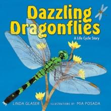 Dazzling Dragonflies : A Life Cycle Story