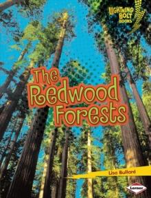 The Redwood Forests