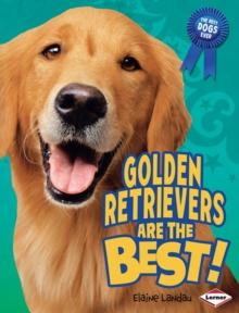 Golden Retrievers Are the Best!