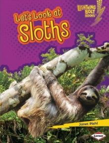 Let's Look at Sloths