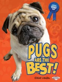 Pugs Are the Best!