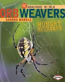 Orb Weavers : Hungry Spinners