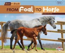 From Foal to Horse