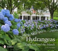 Hydrangeas : Cape Cod and the Islands