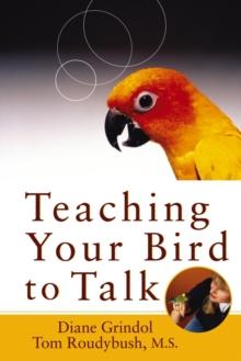 Teaching Your Bird to Talk