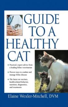 Guide to a Healthy Cat