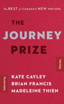 Journey Prize Stories 28