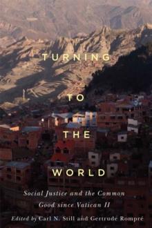 Turning to the World : Social Justice and the Common Good since Vatican II