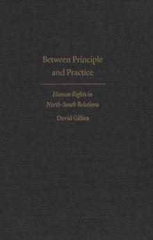 Between Principle and Practice : Human Rights in North-South Relations