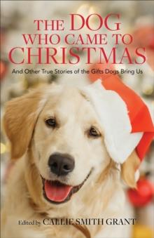 The Dog Who Came to Christmas - And Other True Stories of the Gifts Dogs Bring Us