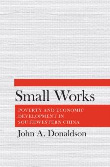 Small Works : Poverty and Economic Development in Southwestern China