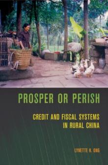 Prosper or Perish : Credit and Fiscal Systems in Rural China