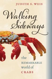 Walking Sideways : The Remarkable World of Crabs