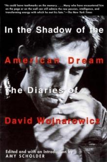 In the Shadow of the American Dream : The Diaries of David Wojnarowicz