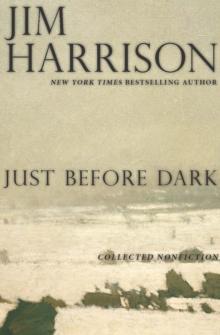 Just Before Dark : Collected Nonfiction