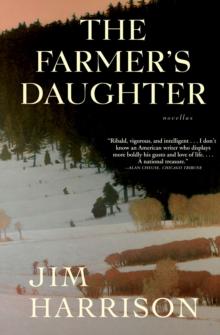 The Farmer's Daughter : Novellas