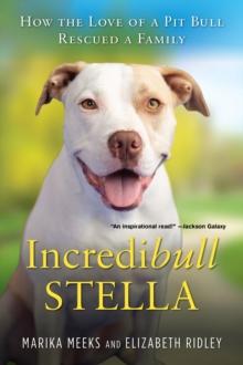 Incredibull Stella : How the Love of a Pit Bull Rescued a Family