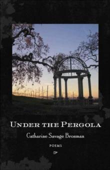 Under the Pergola : Poems