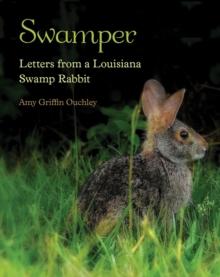 Swamper : Letters from a Louisiana Swamp Rabbit