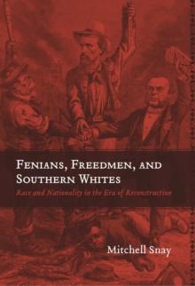 Fenians, Freedmen, and Southern Whites : Race and Nationality in the Era of Reconstruction