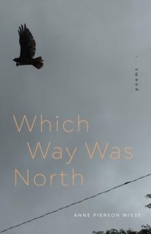 Which Way Was North : Poems