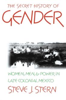 The Secret History of Gender : Women, Men, and Power in Late Colonial Mexico