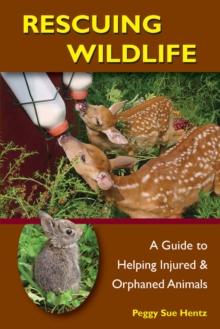 Rescuing Wildlife : A Guide to Helping Injured & Orphaned Animals