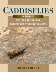 Caddisflies : A Guide to Eastern Species for Anglers and Other Naturalists