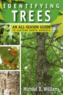 Identifying Trees : An All-Season Guide to Eastern North America